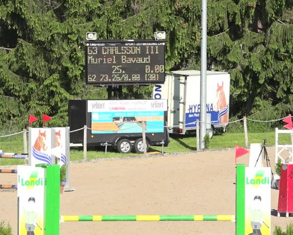 Reitturnier Fehraltorf 2019
