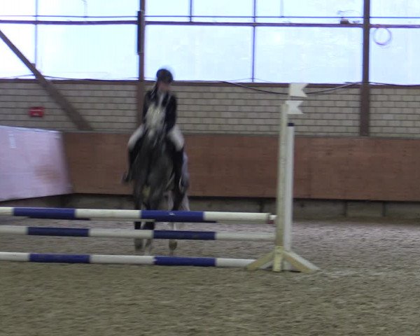 Reitturnier Hellefeld 2019