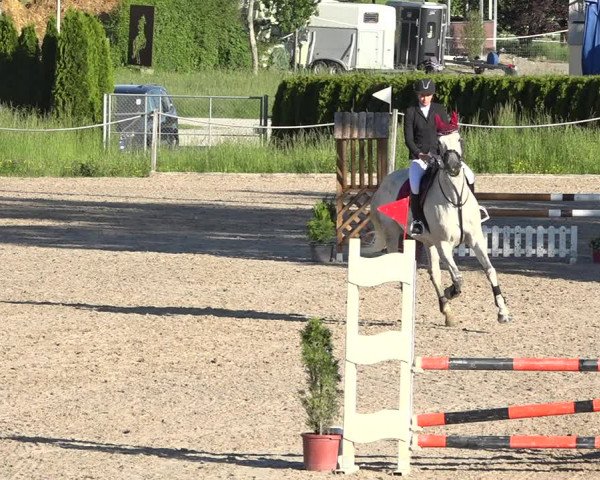 Reitturnier Fehraltorf 2019