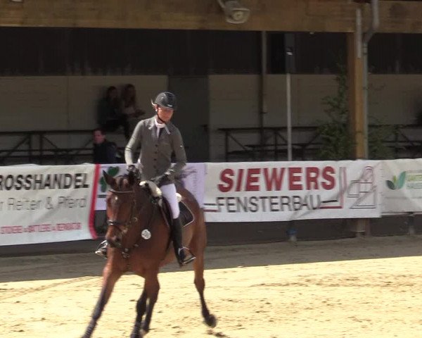 Reitturnier Hellefeld 2019
