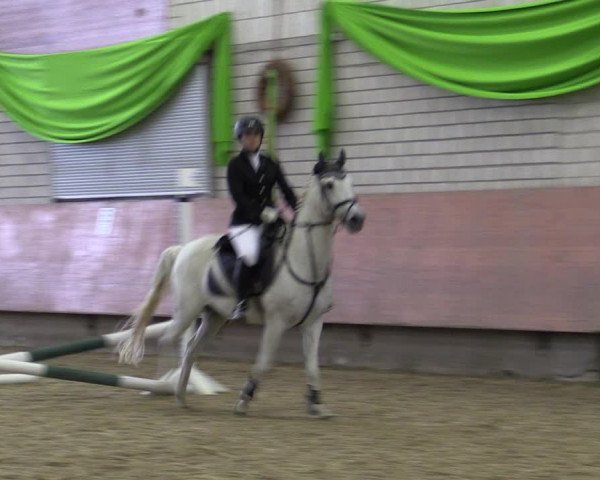 Reitturnier Hellefeld 2019