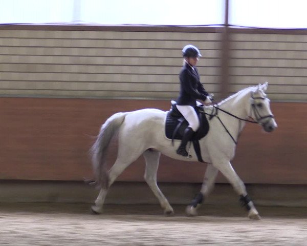 Reitturnier Hellefeld 2019