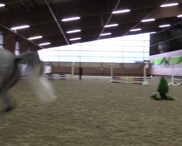 Reitturnier Hellefeld 2019