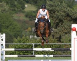 jumper Ernie 46 (Hanoverian, 2003, from Espri)