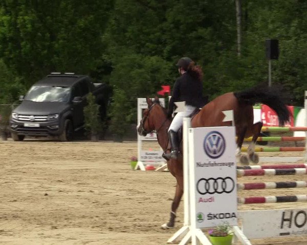 Reitturnier Hellefeld 2019