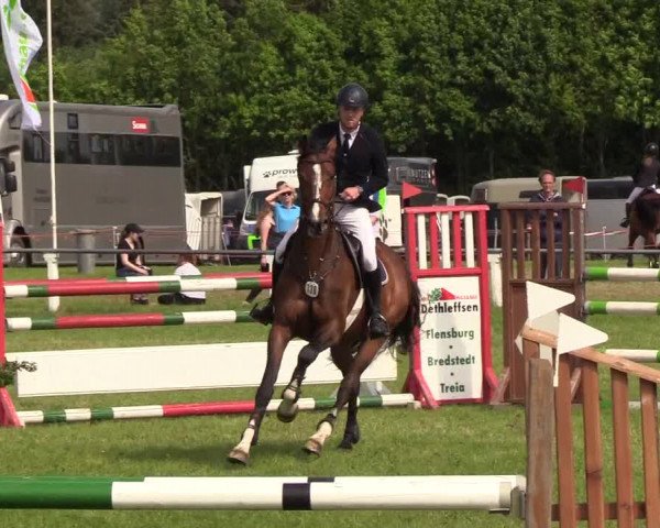Reitturnier Medelby 2019
