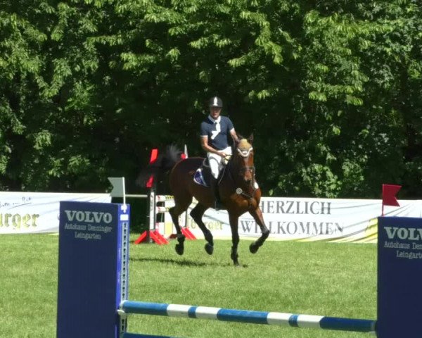 Reitturnier Leingarten 2019