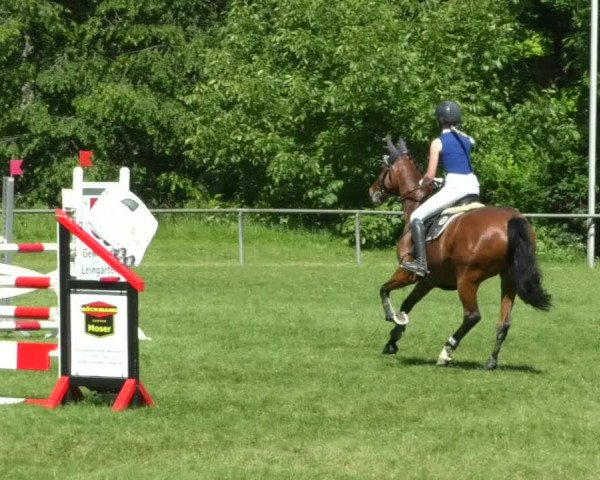 Reitturnier Leingarten 2019