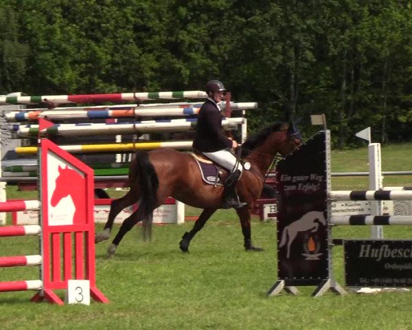 Reitturnier Medelby 2019