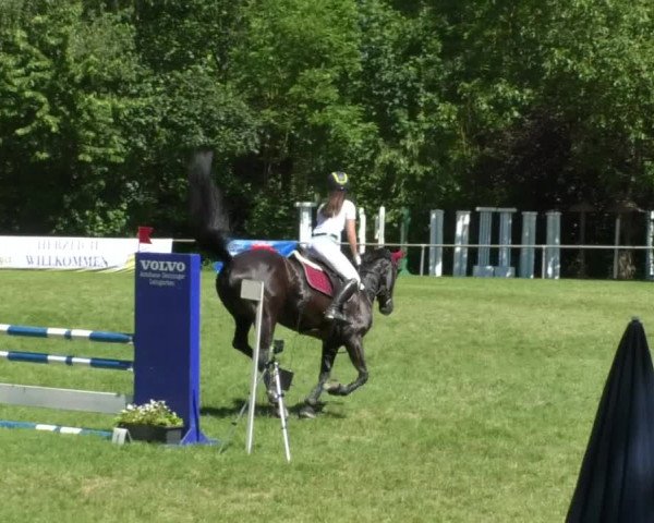 Reitturnier Leingarten 2019