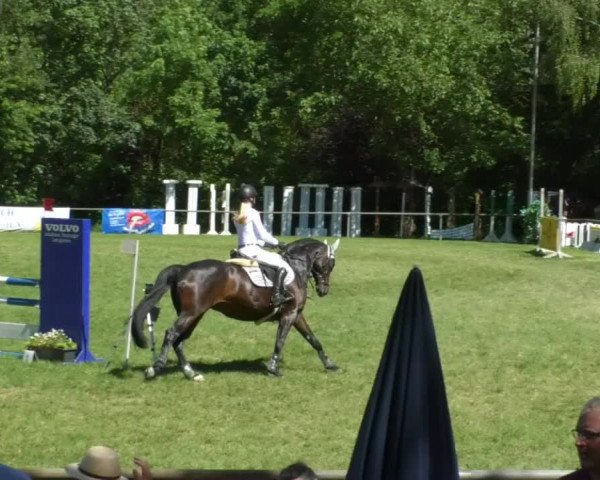 Reitturnier Leingarten 2019
