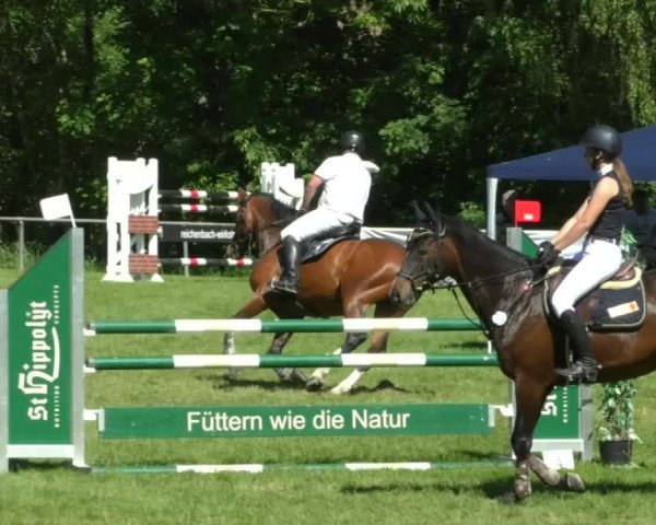 Reitturnier Leingarten 2019