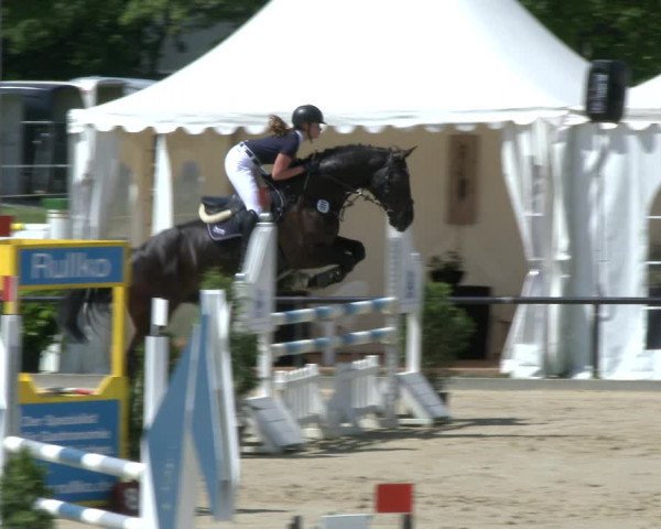 Reitturnier Hamm-Rhynern 2019