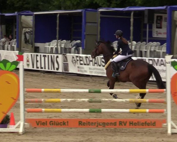 Reitturnier Hellefeld 2019