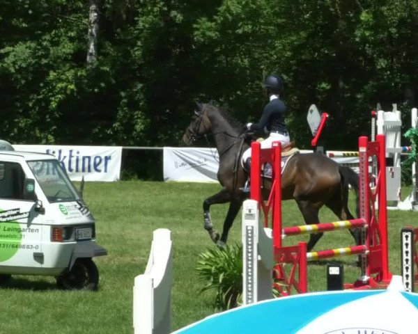 Reitturnier Leingarten 2019