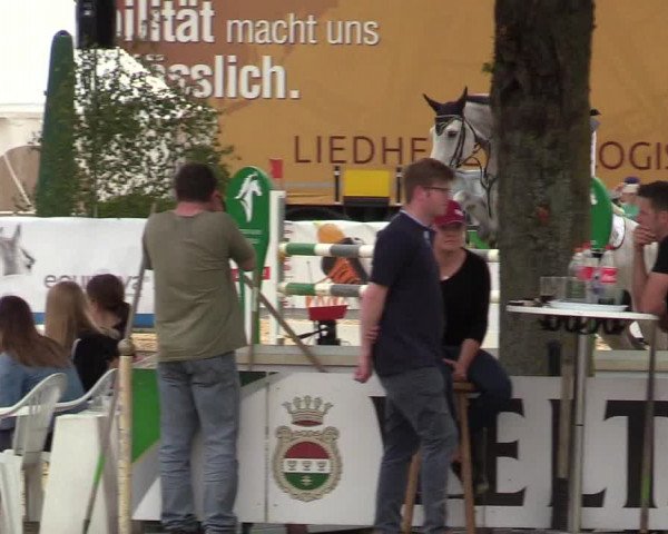 Reitturnier Hellefeld 2019