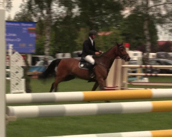 Reitturnier Hille 2019