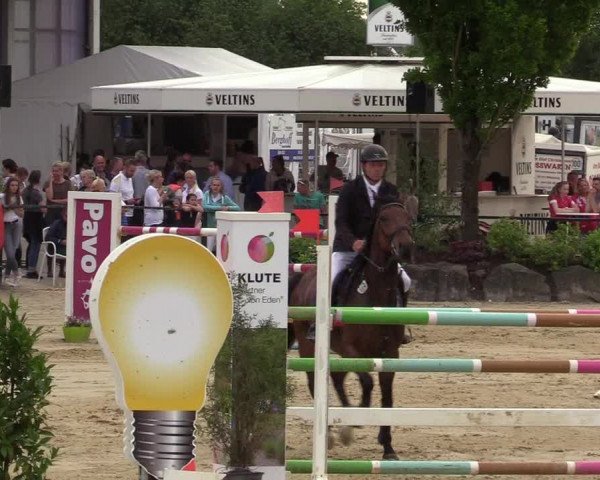 Reitturnier Hellefeld 2019