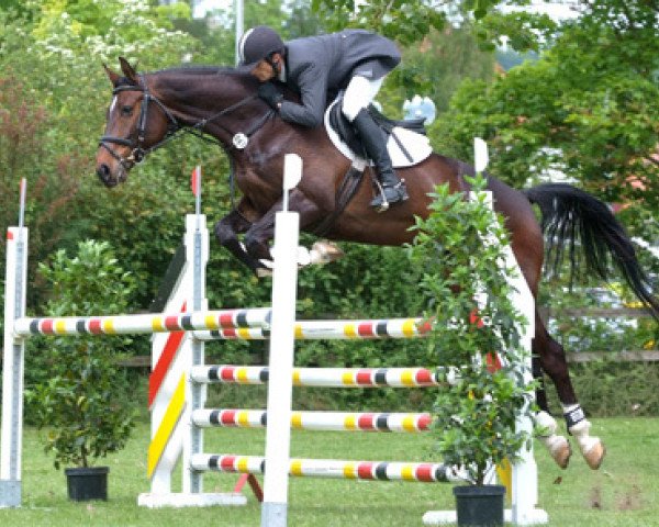 jumper Contigo 30 (Hanoverian, 2003, from Contendro I)