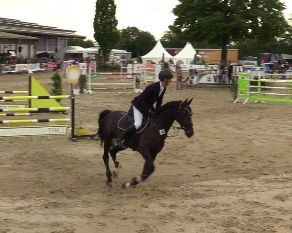 Reitturnier Hellefeld 2019