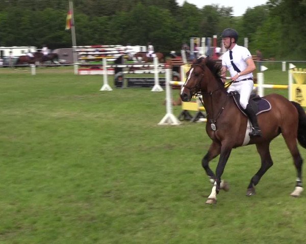 Reitturnier Medelby 2019