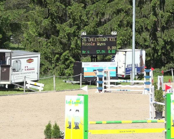 Reitturnier Fehraltorf 2019