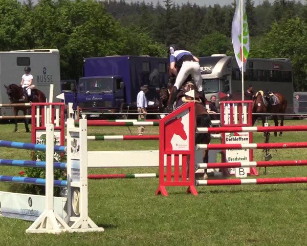 Reitturnier Medelby 2019