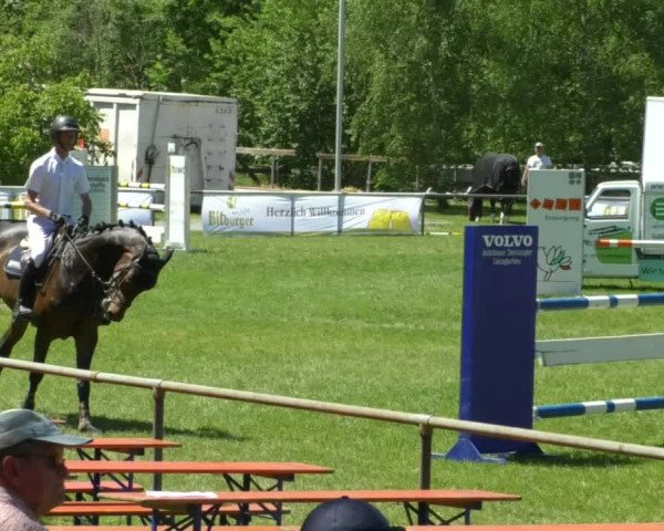 Reitturnier Leingarten 2019