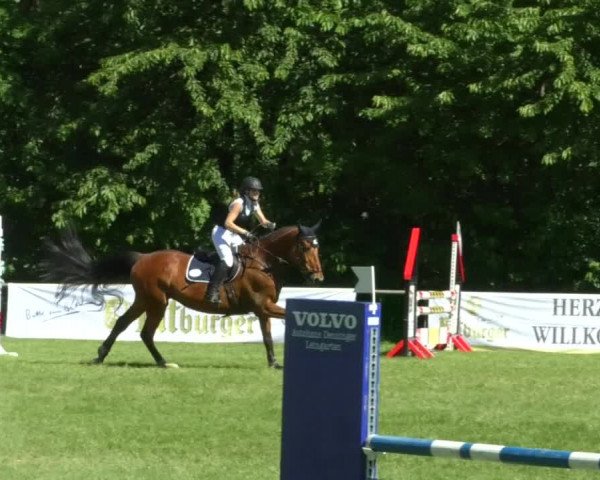 Reitturnier Leingarten 2019