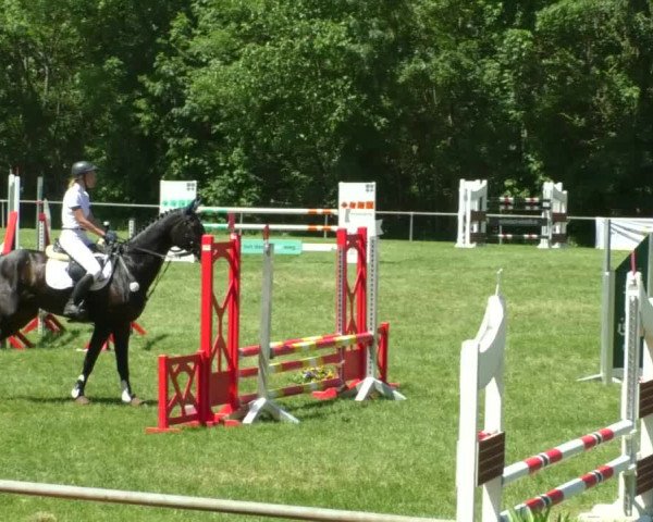 Reitturnier Leingarten 2019