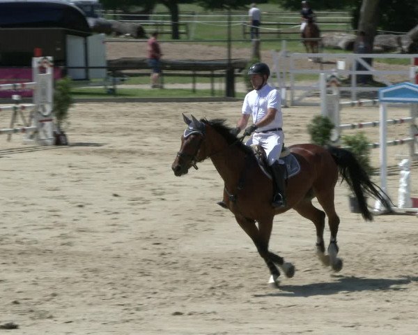 Reitturnier Hamm-Rhynern 2019
