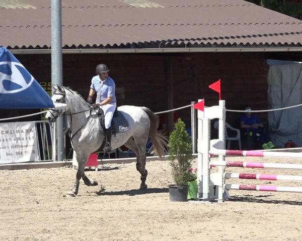 Reitturnier Fehraltorf 2019