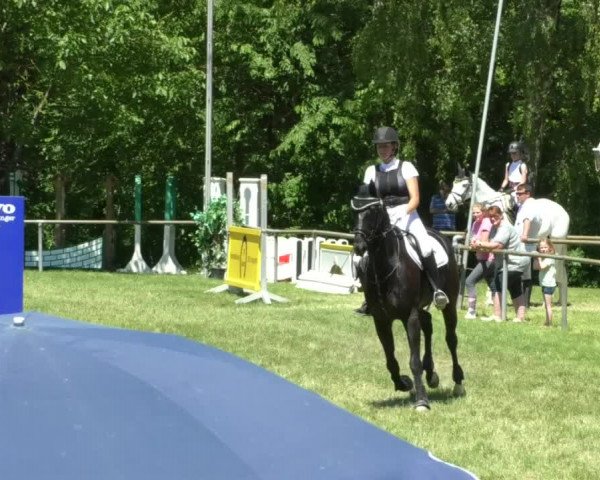 Reitturnier Leingarten 2019