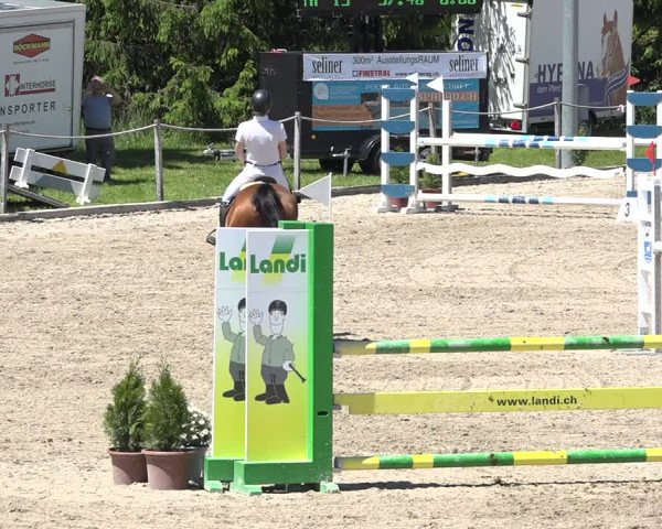 Reitturnier Fehraltorf 2019