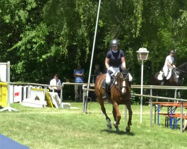 Reitturnier Leingarten 2019