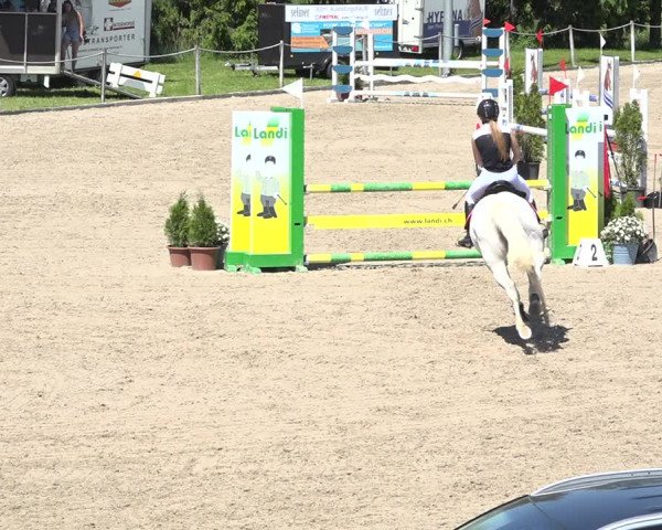 Reitturnier Fehraltorf 2019