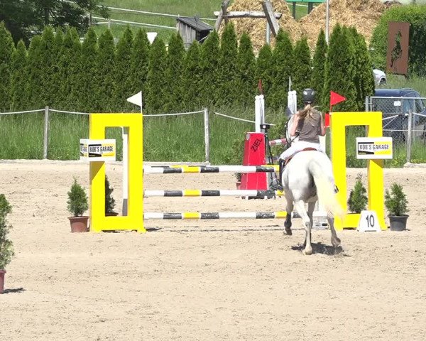 Reitturnier Fehraltorf 2019