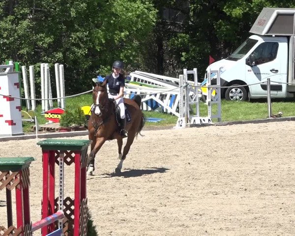 Reitturnier Fehraltorf 2019