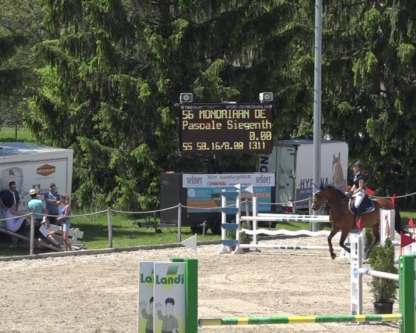 Reitturnier Fehraltorf 2019