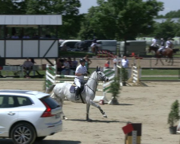 Reitturnier Hamm-Rhynern 2019