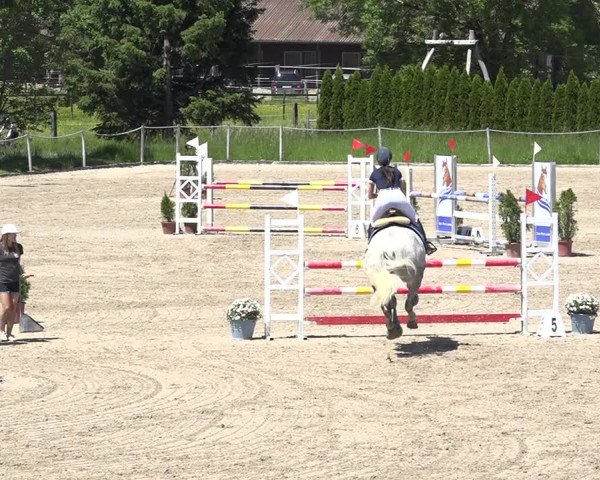 Reitturnier Fehraltorf 2019