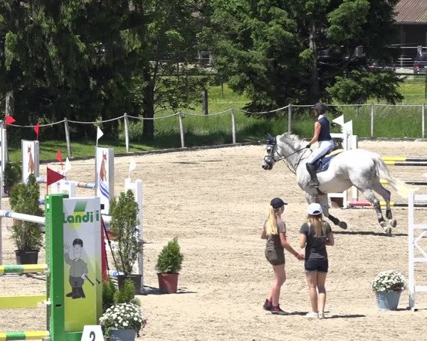 Reitturnier Fehraltorf 2019