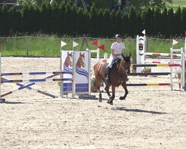 Reitturnier Fehraltorf 2019