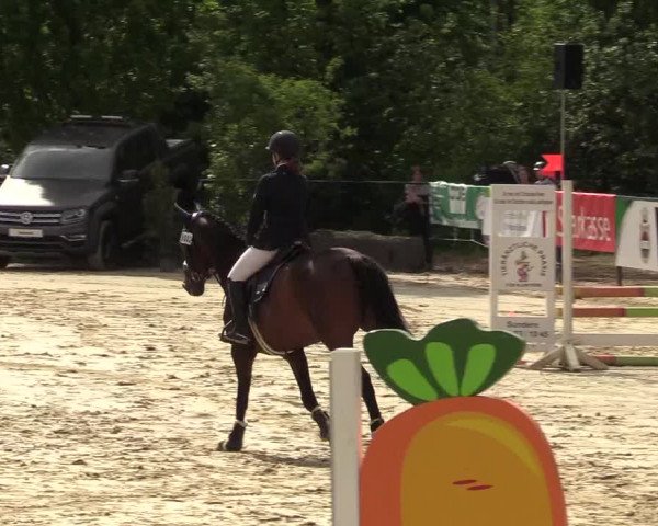 Reitturnier Hellefeld 2019