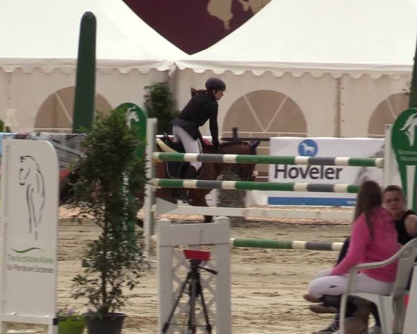 Reitturnier Hellefeld 2019
