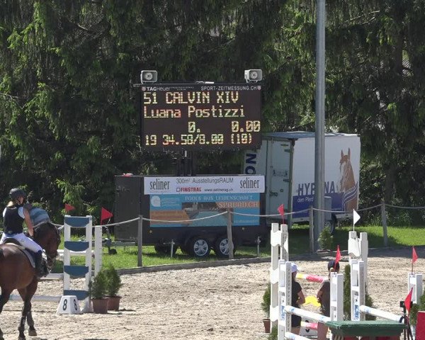 Reitturnier Fehraltorf 2019