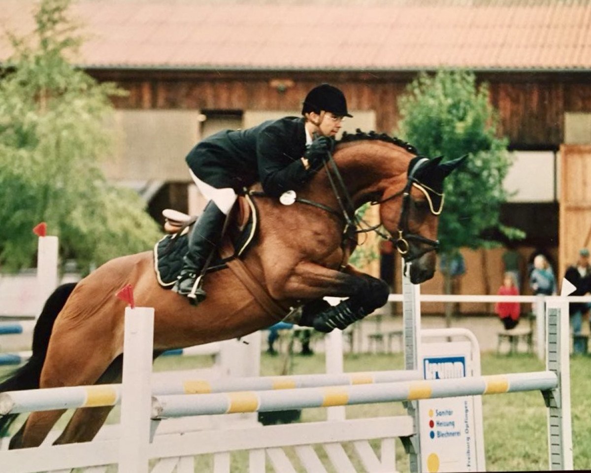 broodmare Aquamarine (Holsteiner, 1995, from Acord II)