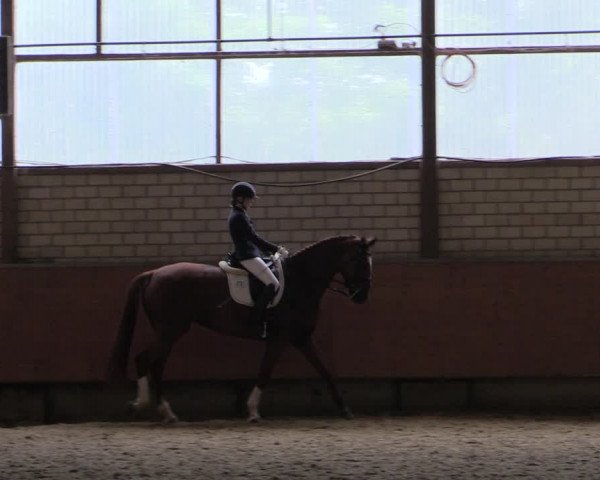 Jezdecký turnaj Hellefeld 2019