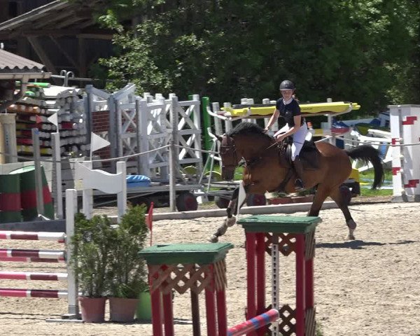 Reitturnier Fehraltorf 2019