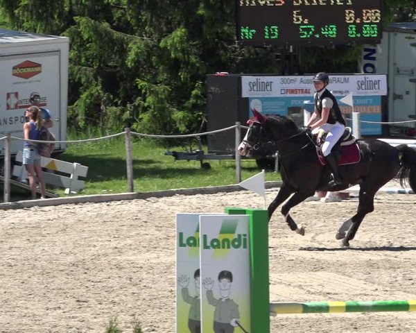 Reitturnier Fehraltorf 2019